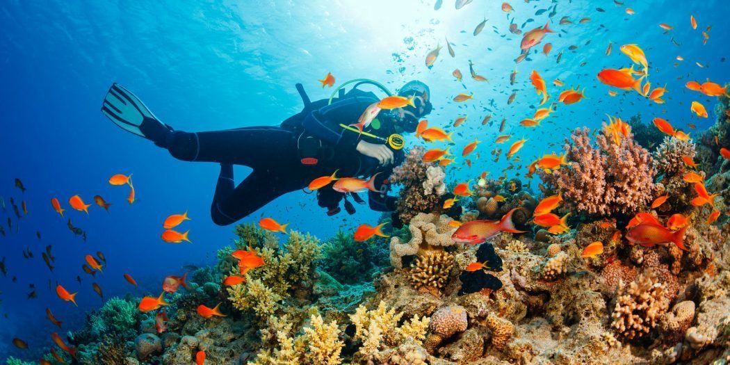 https://www.trekpanda.in/system/images/000/524/390/4cd0ae0b2dee495eec196edaac9eb3bc/banner/scuba-diving-tarkarl-Malvan.jpg?1681201992