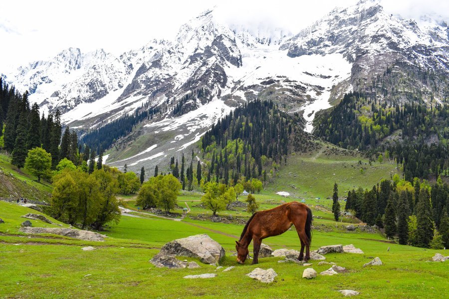 There is so much more to Jammu and Kashmir than Srinagar and Gulmarg, aru  valley HD wallpaper | Pxfuel